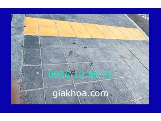 Gạch dẫn hướng
